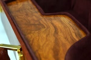 Negri Cases assoluto olive violin case