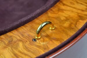 Negri Cases assoluto ring violin case