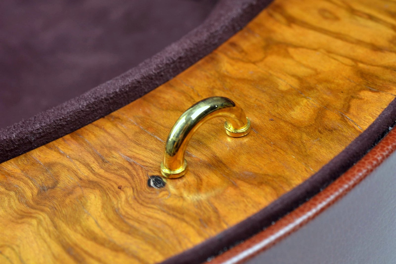 Negri Cases assoluto ring violin case