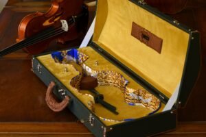 Negri Cases calf violin violin case