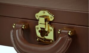 Negri Cases elite lock violin case